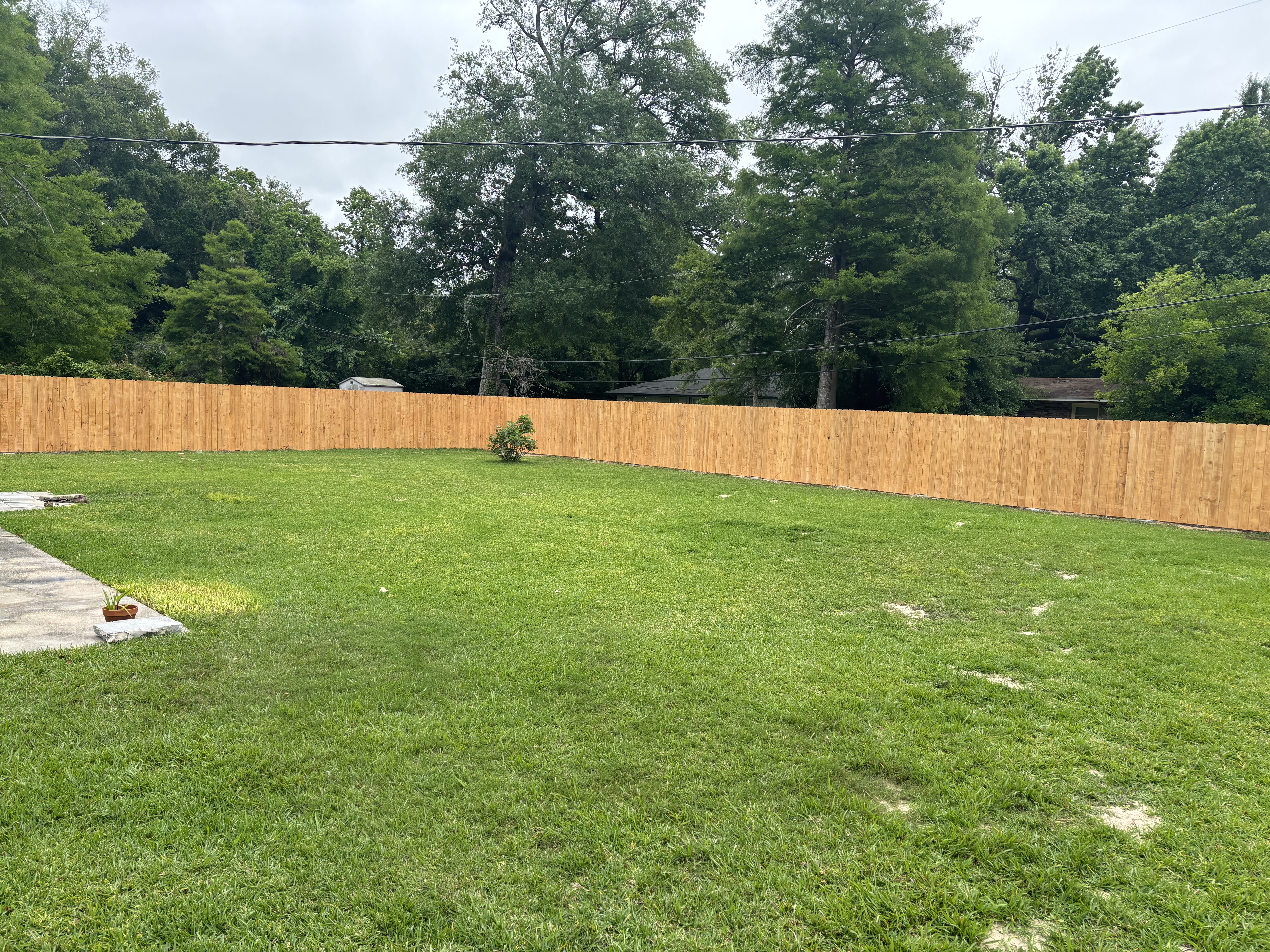 After - new cedar privacy fence and fresh sod installed in Baton Rouge backyard