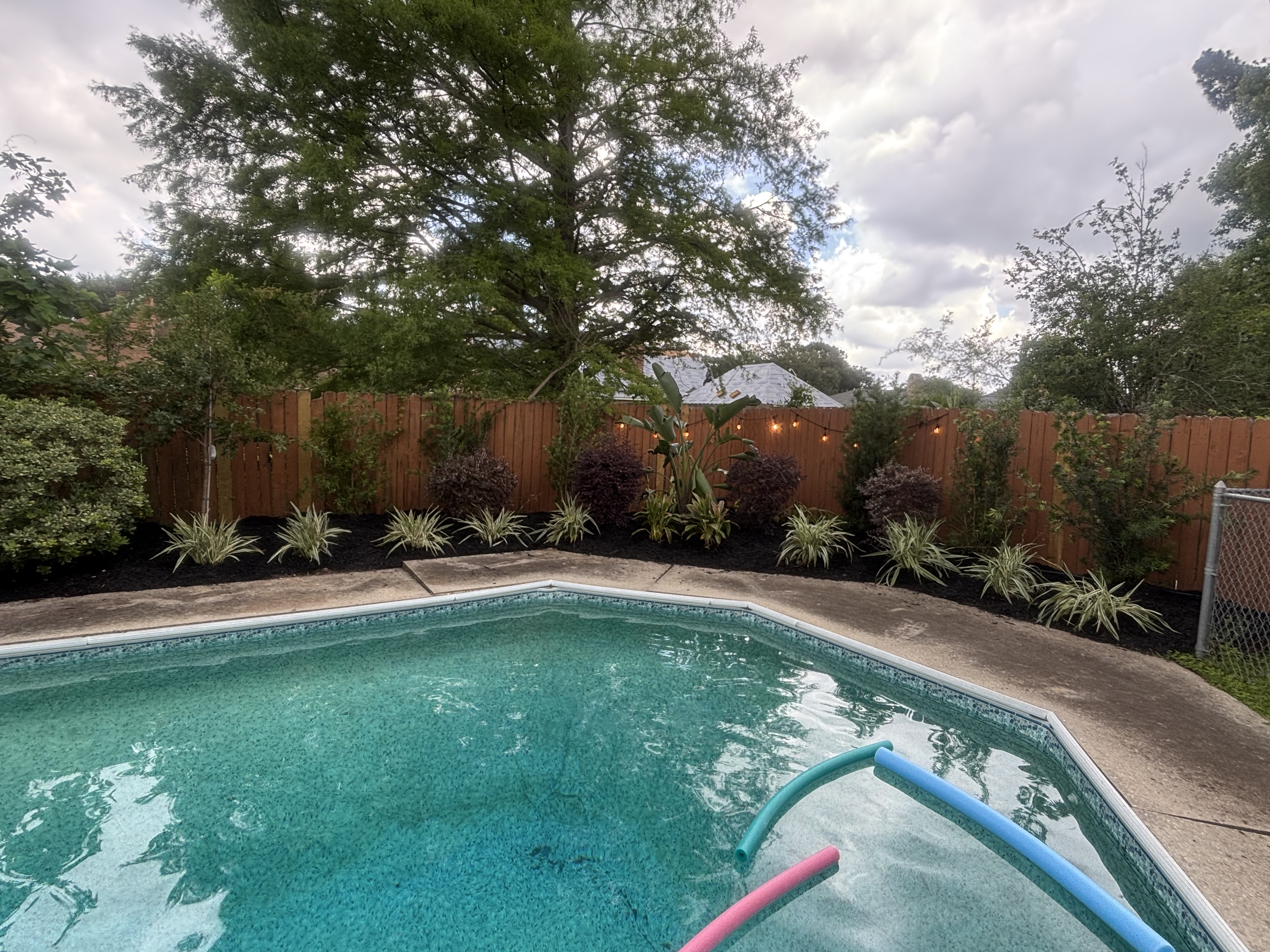 Pool landscape with shrubs and plantings along cedar privacy fence - Baton Rouge