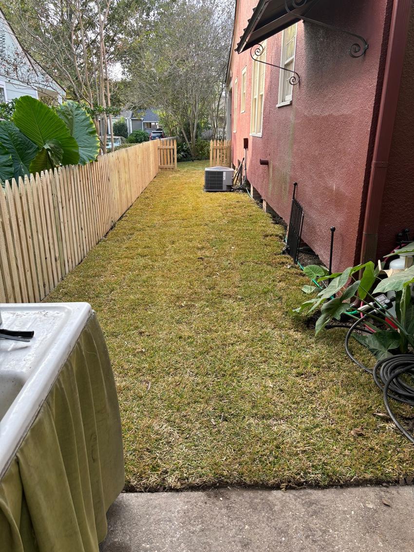 After - clean sod, cedar picket fence, and drainage installed