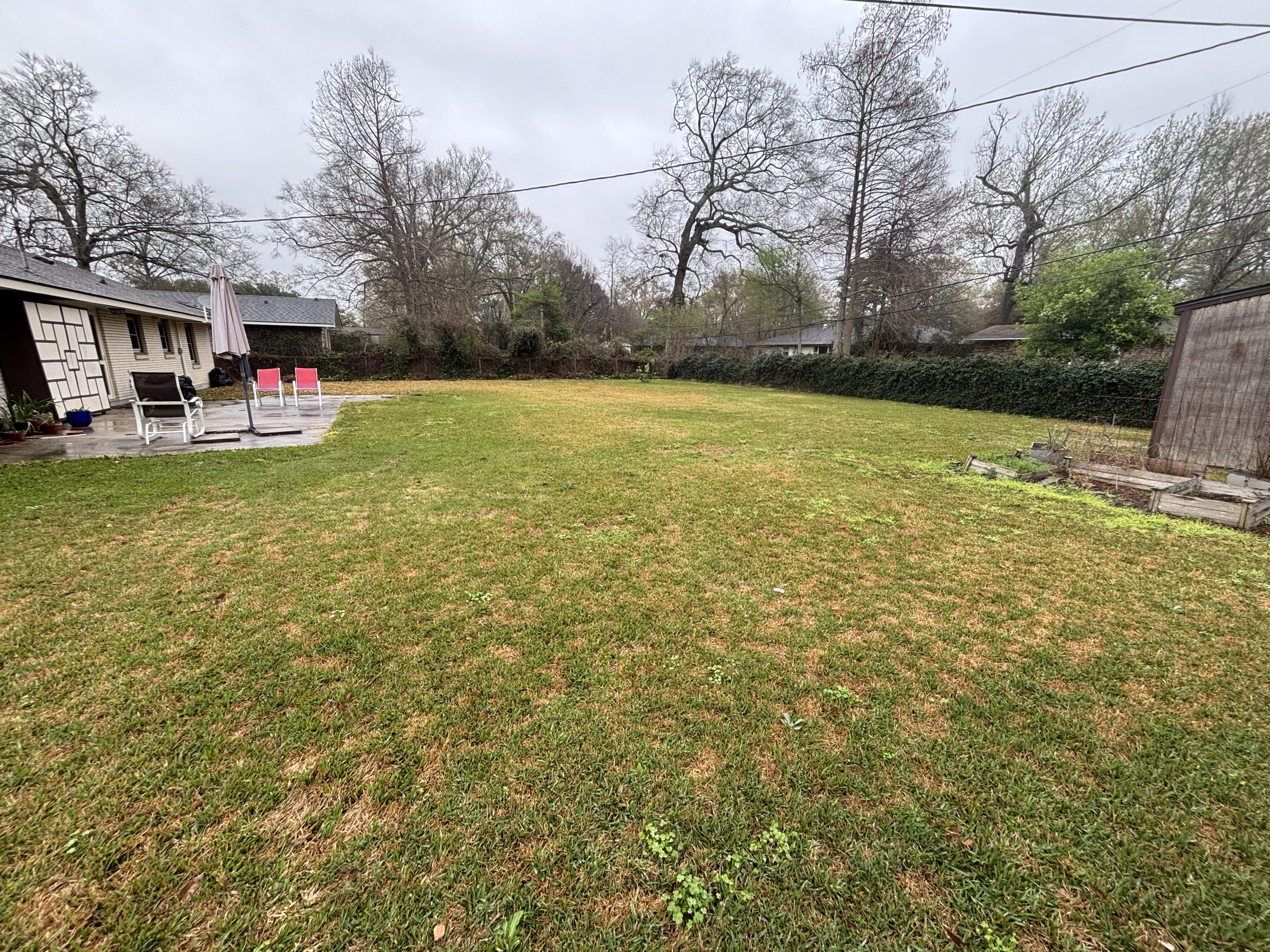 Before - bare patchy backyard with no fence in Baton Rouge