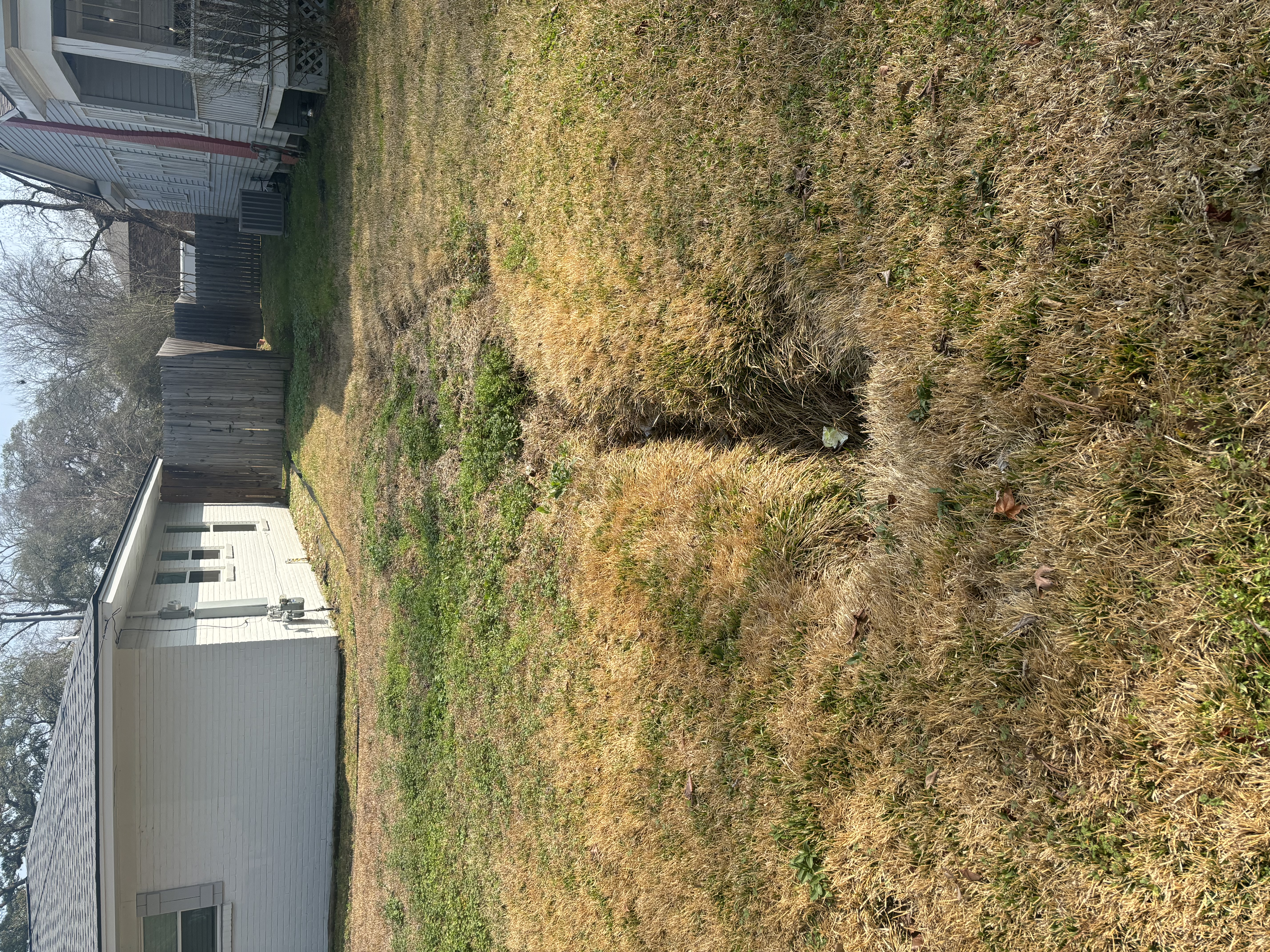 Before - yard with drainage erosion channel between houses in Baton Rouge
