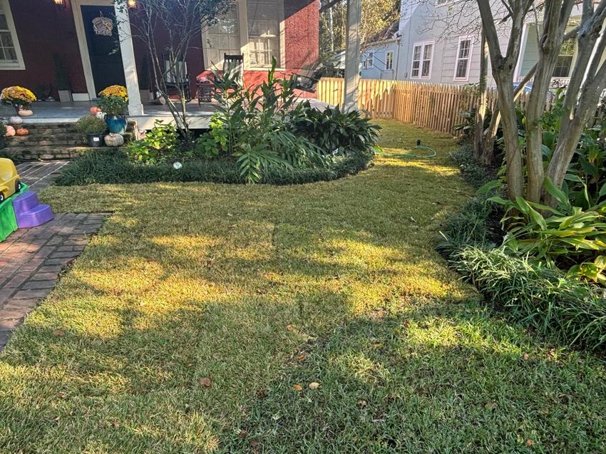 Sod installation and landscape bed renovation in Baton Rouge